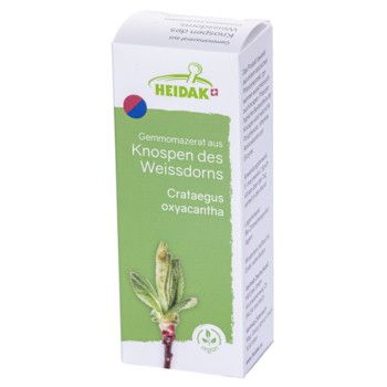 https://www.pestalozzi.de/documents/products/FotoMittel/17870165.jpg?ver=1775041441
