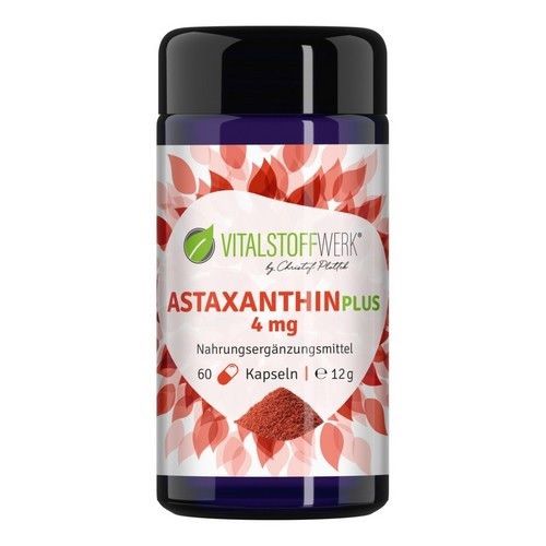 https://www.pestalozzi.de/documents/products/FotoGross/18131145.jpg?ver=1775041441