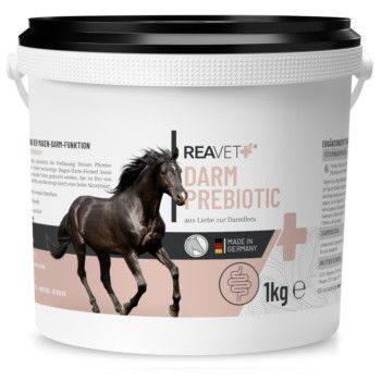 https://www.pestalozzi.de/documents/products/FotoMittel/90106988.jpg?ver=1775041441