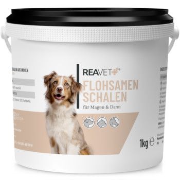 https://www.pestalozzi.de/documents/products/FotoMittel/90106989.jpg?ver=1775041441