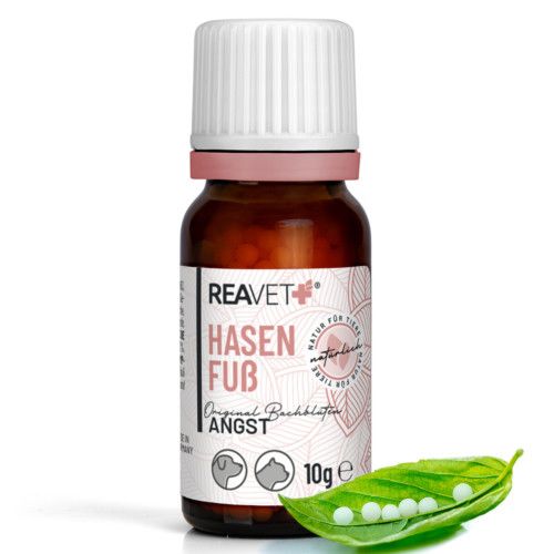https://www.pestalozzi.de/documents/products/FotoGross/90107492.jpg?ver=1775041441