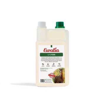 https://www.pestalozzi.de/documents/products/FotoMittel/90107745.jpg?ver=1775041441