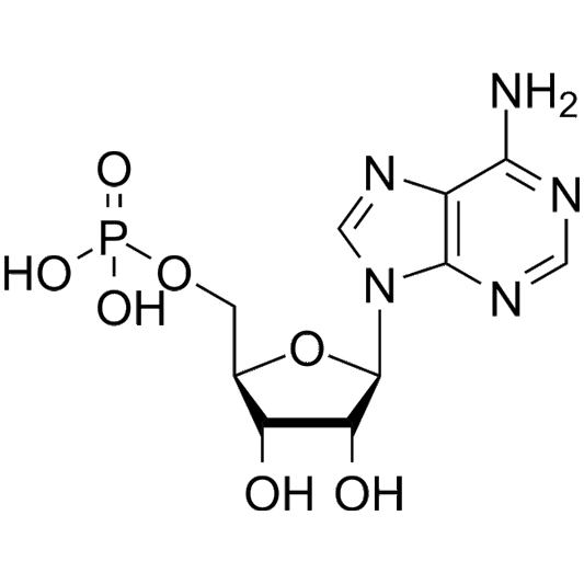 ADENOSINE MONOPHOSPHORIC ACID C 100 Dilution 10 ml