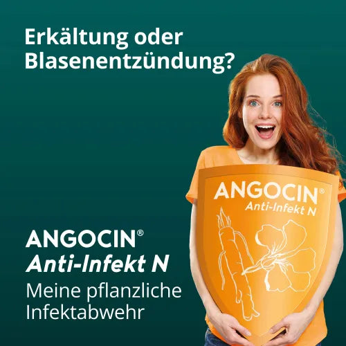 ANGOCIN Anti Infekt N film-coated tablets 120
