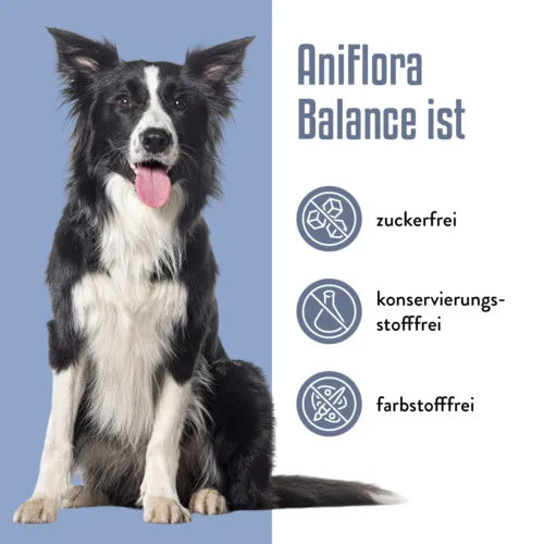 ANIFLORA Balance Psyllium Husk + Fiber Supplement for Dogs 60 g - 3