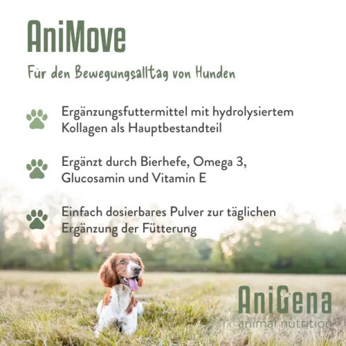 ANIMOVE Collagen+Glucosamine+Chondr.MSM Plv.f.Dogs 200 g - 2
