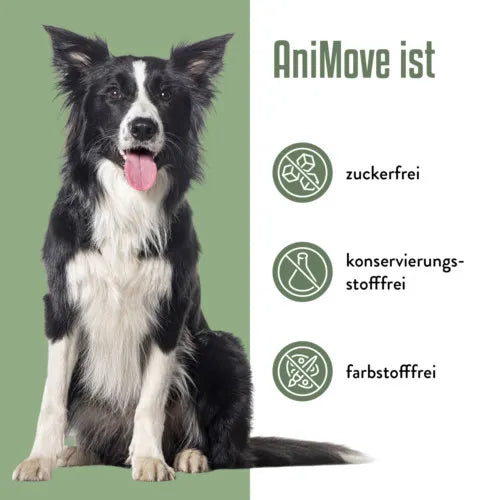 ANIMOVE Collagen+Glucosamine+Chondr.MSM Plv.f.Dogs 200 g - 3