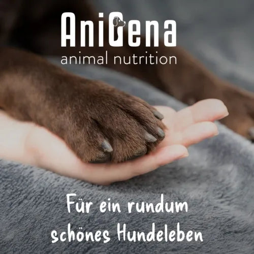 ANIMOVE Collagen+Glucosamine+Chondr.MSM Plv.f.Dogs 200 g - 6