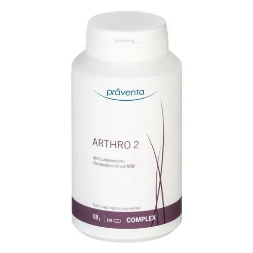 ARTHRO 2 capsules 120 pcs - UKDorf 