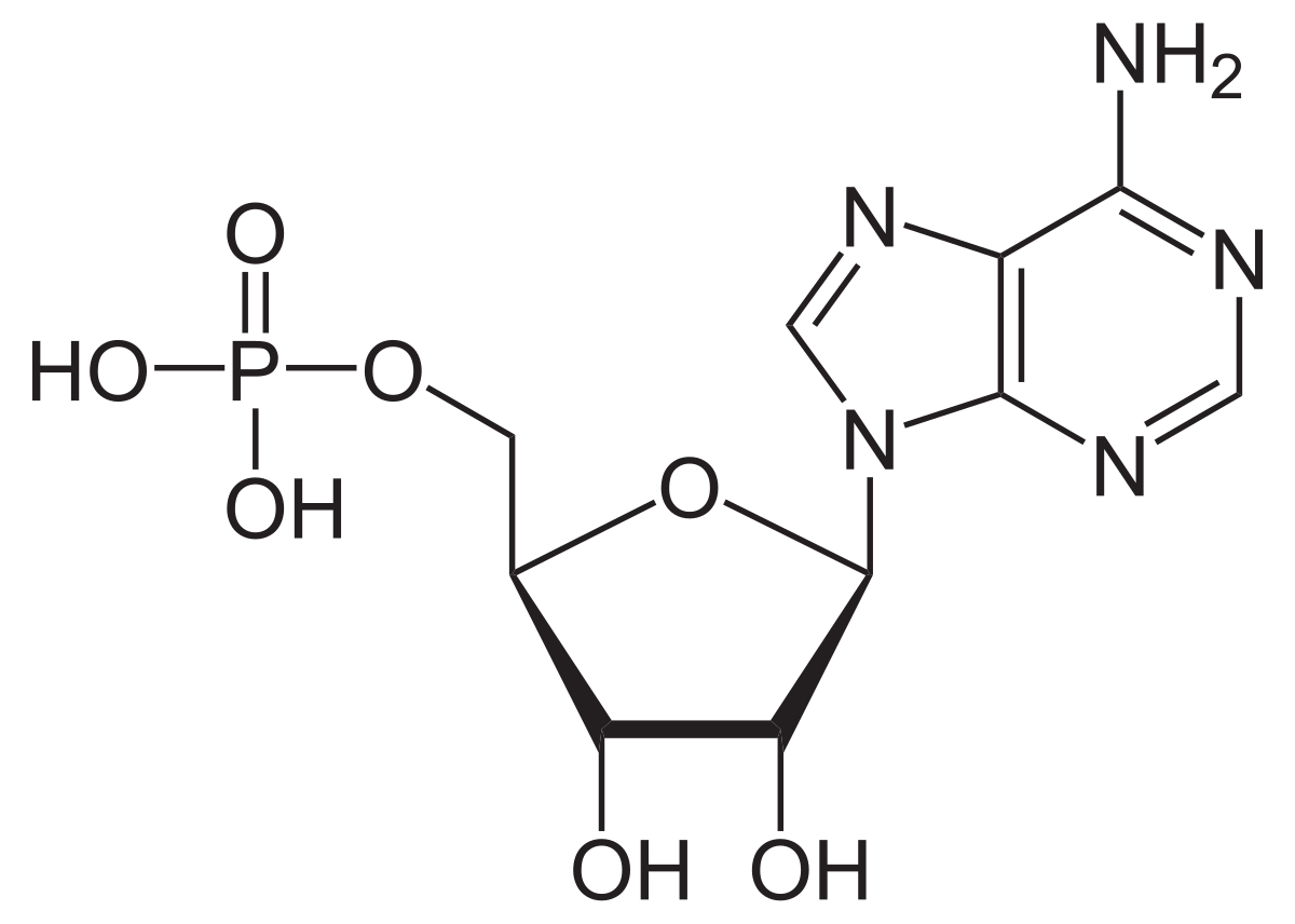 Adenosine monophosphate C 10 globules 10 g