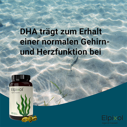 Algae Oil Capsules 1000 mg Omega-3 vegan Elpixol