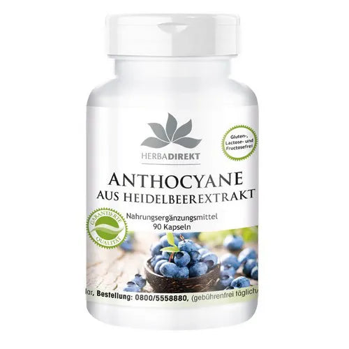 Anthocyanins from blueberry extract 500mg - UKDorf 