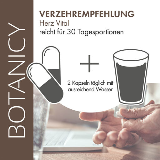 Black garlic, HERZ VITAL, heart and blood vessels capsules - UKDorf 