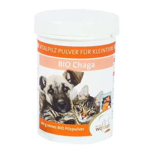 CHAGA ORGANIC medicinal mushroom powder for animals - UKDorf 