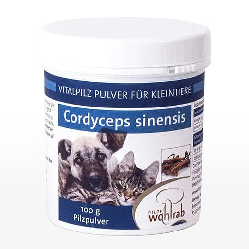 CORDYCEPS VITAL MUSHROOM powder for animals - UKDorf 