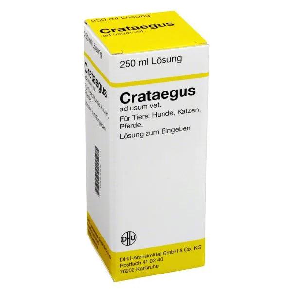 CRATAEGUS Dilution vet. - UKDorf 