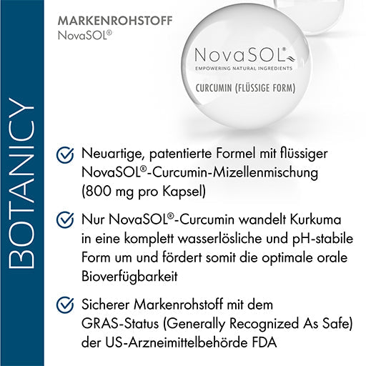 CURCUMA FORTE capsules - UKDorf 