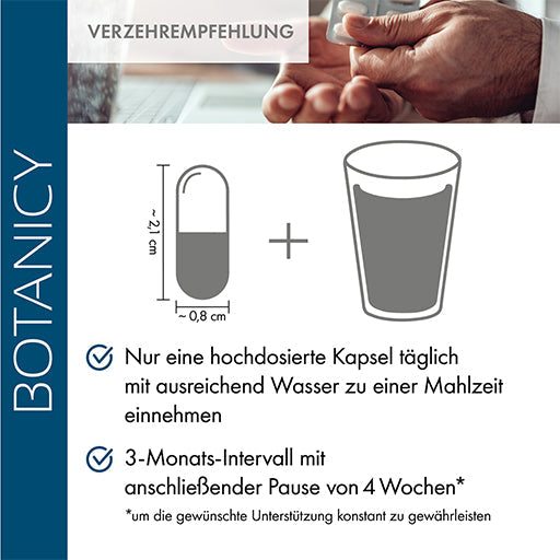 CURCUMA FORTE capsules - UKDorf 