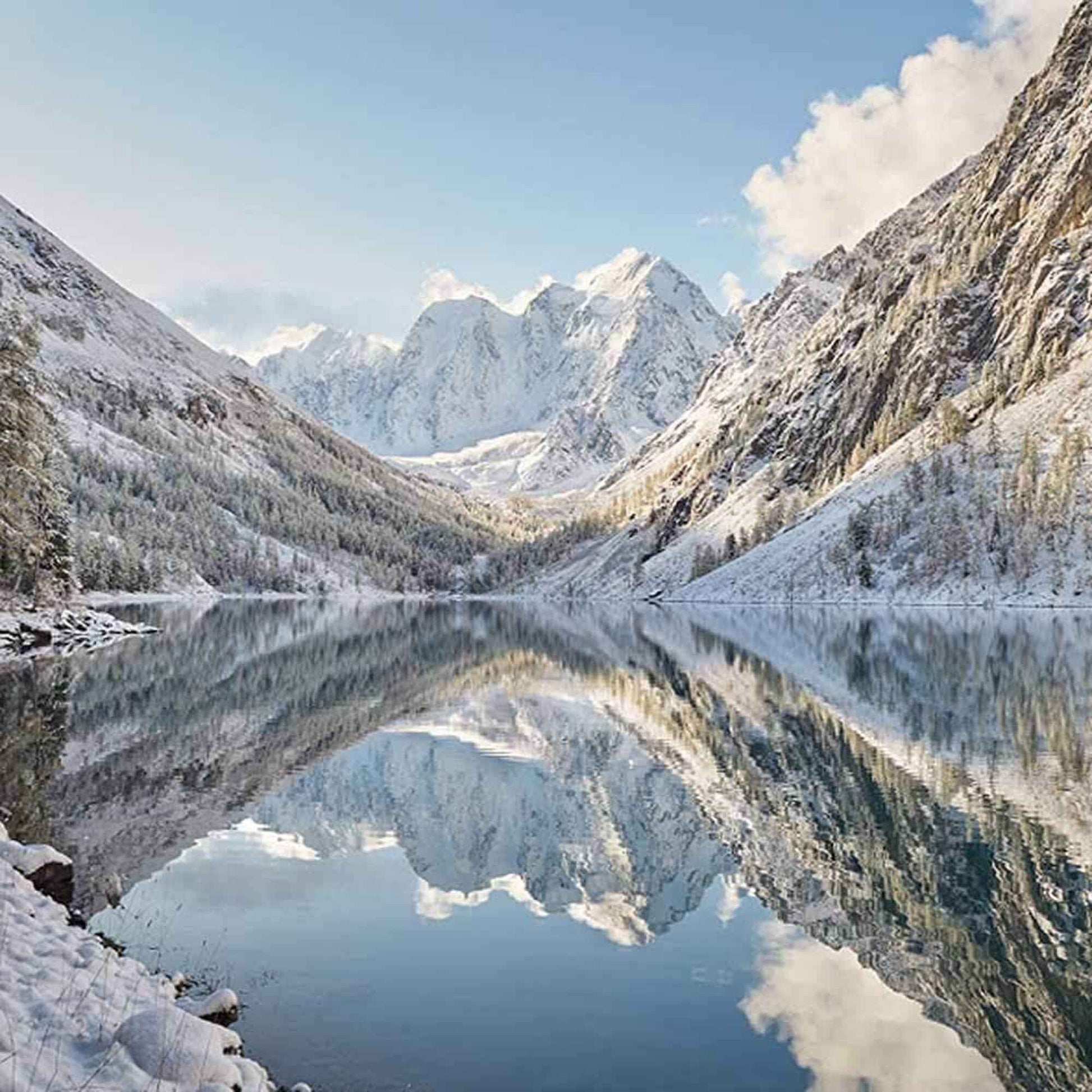 Colloidal Silver 500 PPM Concentrate 50 ml