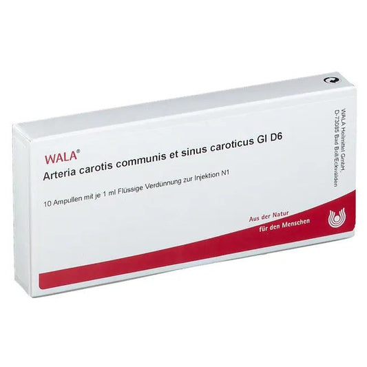 Common carotid artery and carotid sinus Gl D 6 - UKDorf 