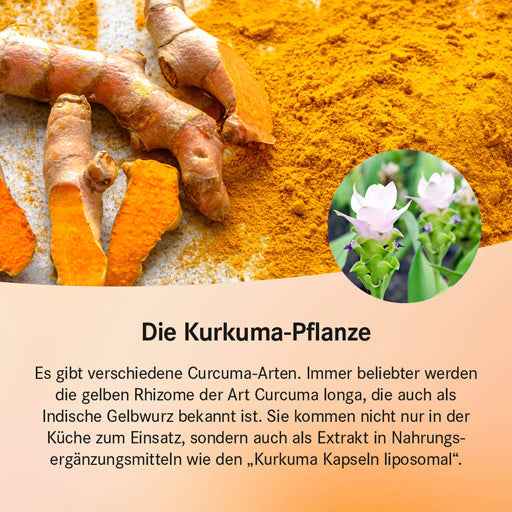 Curcumin and Vitamin C, Liposomal turmeric capsules