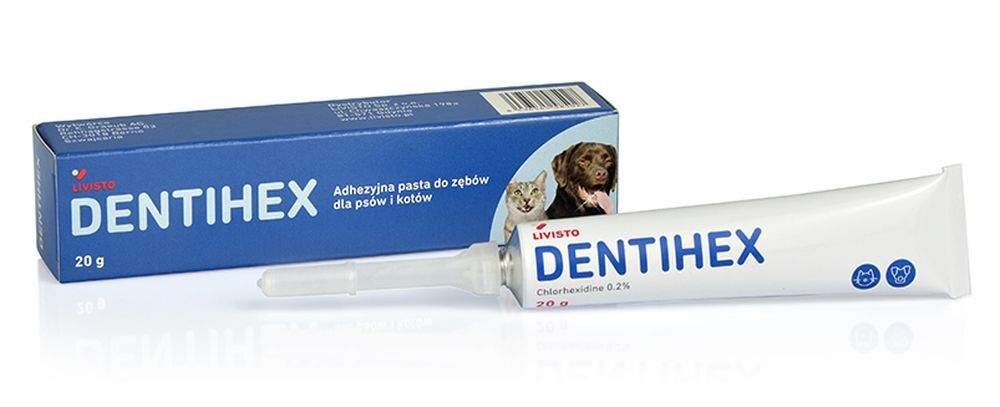 Dentihex toothpaste with applicator for dogs and cats - UKDorf 