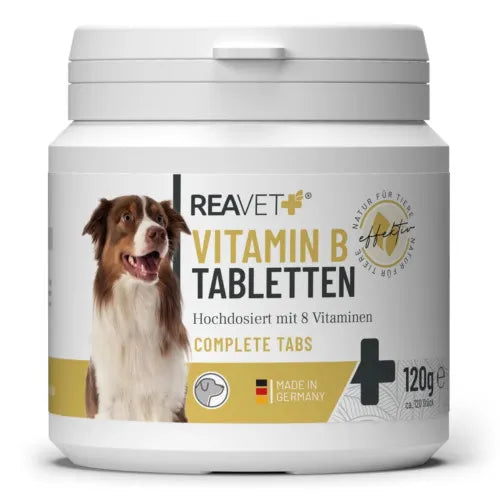 Dogs REAVET Vitamin B tablets 120 g