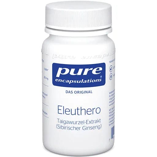 Eleuthero, Siberian Ginseng - UKDorf 