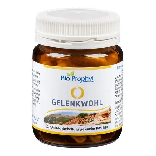 GELENKWOHL capsules 60 pcs - UKDorf 