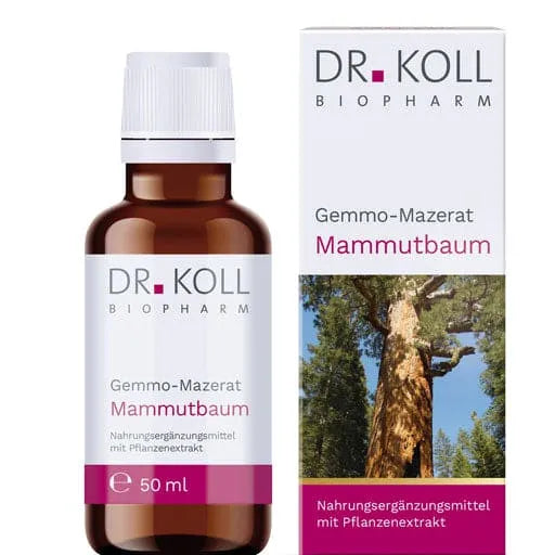 GEMMO Macerate Giant Sequoia Dr.Koll Sequoia gigantea - UKDorf 