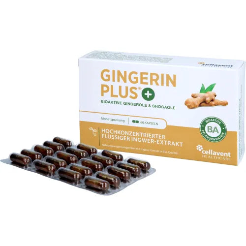 GINGERIN PLUS gingerol and shogaol capsules 60