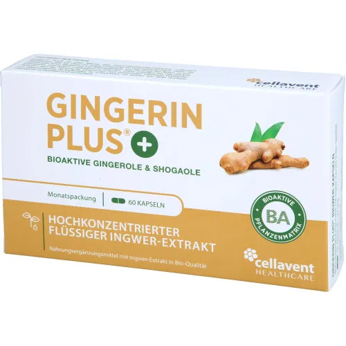 GINGERIN PLUS gingerol and shogaol capsules 60