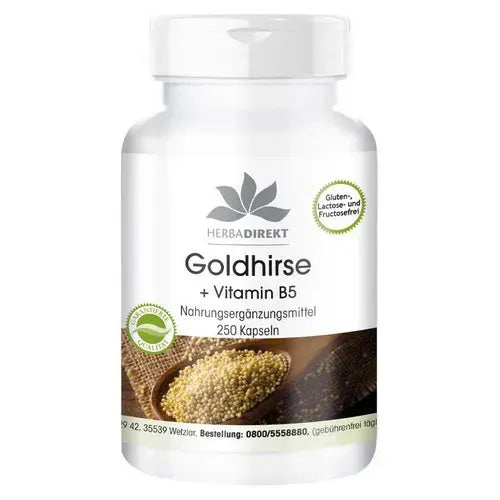 Golden Millet + Vitamin B5 + L-cysteine - UKDorf 