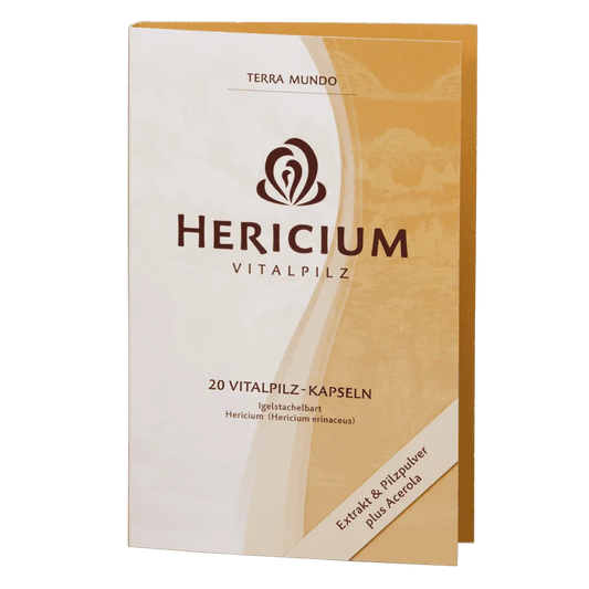 Hericium ORGANIC medicinal mushroom - UKDorf 