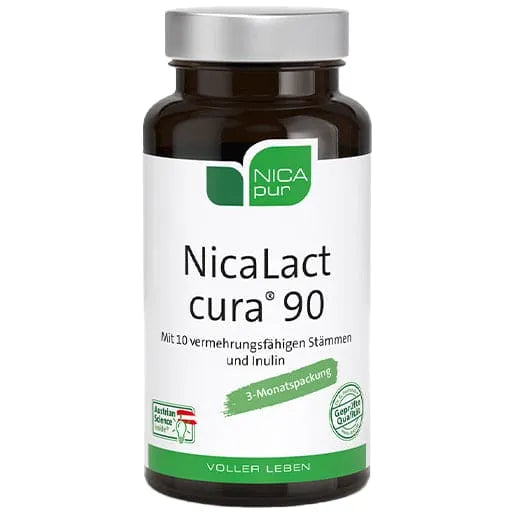Inulin from chicory, 10 viable probiotic bacteria strains, NicaLact cura - UKDorf 