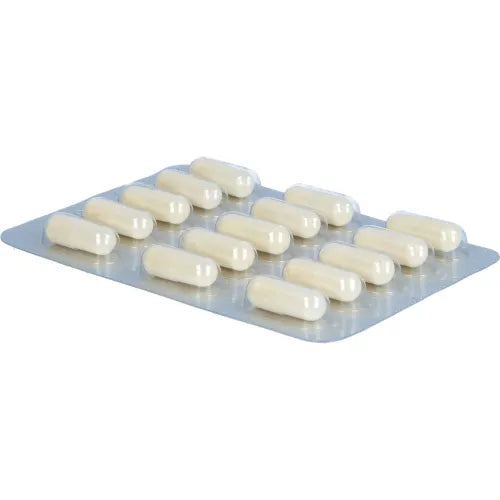 KADEFLORA Lactic Acid Bacteria with Biotin Capsules 30 count