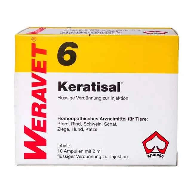 KERATISAL 6 ampoules vet. 10X2 ml