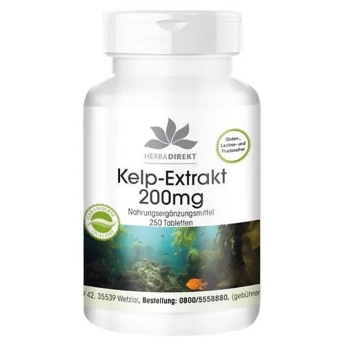 Kelp extract 200mg - UKDorf 