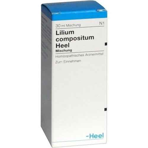LILIUM COMPOSITUM Heel drops