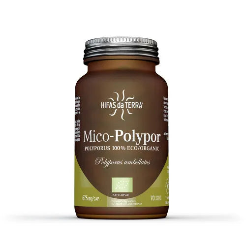 MICO-POLYPOR capsules - UKDorf 