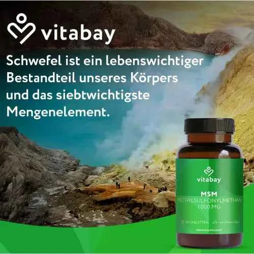 MSM 1000 mg methylsulfonylmethane vegan tablets 365 pcs