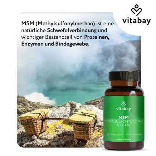 MSM 1000 mg methylsulfonylmethane vegan tablets 365 pcs