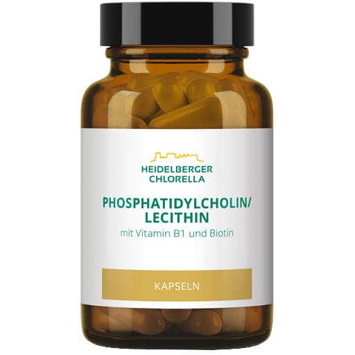 PHOSPHATIDYLCHOLINE, Lecithin, Phospholipids capsules - UKDorf 