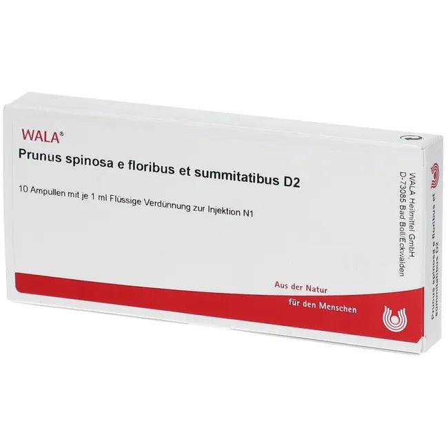 PRUNUS SPINOSA, detoxification (alternative medicine), kidney, bladder disorders - UKDorf 