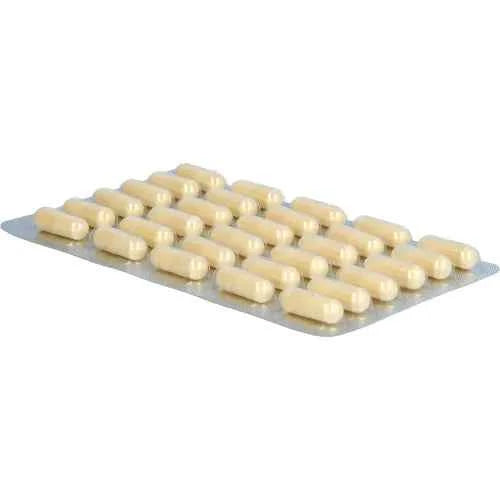 PULSULIN forte capsules