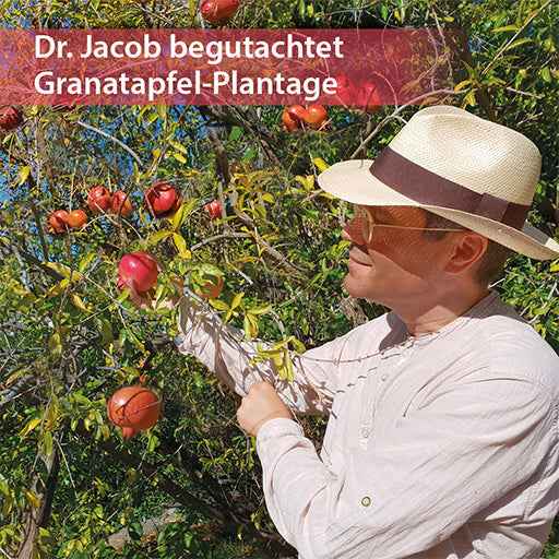 Pomegranate Frankincense Cream Dr. Jacob's