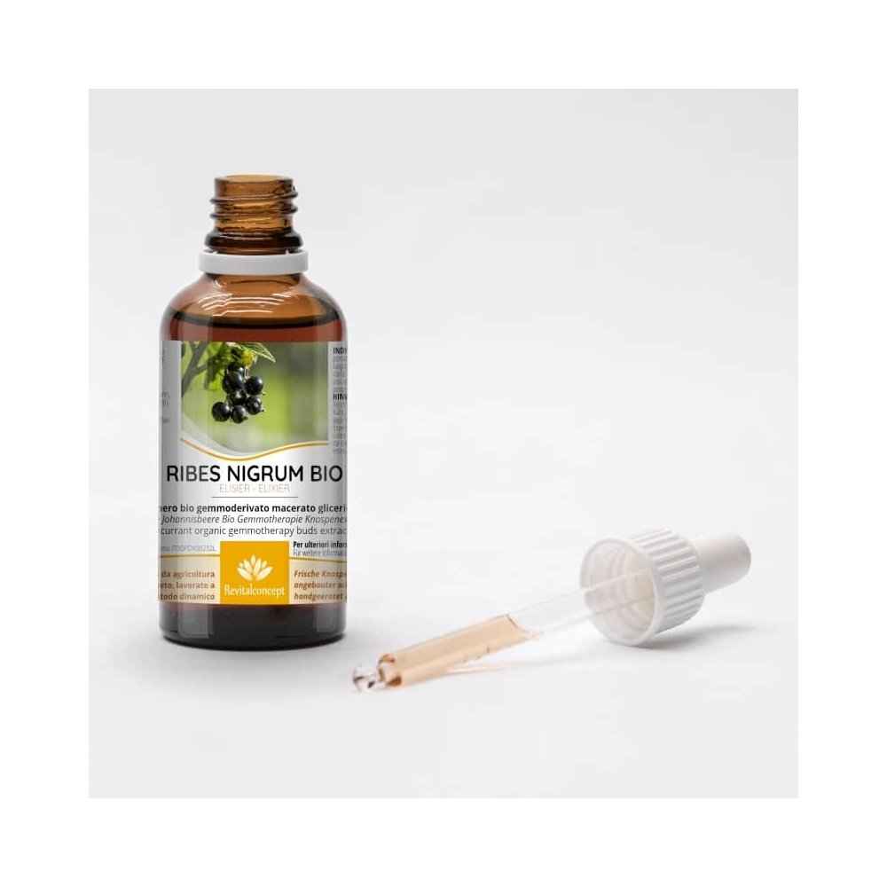 RIBES NIGRUM Blackcurrant Gemmotherapy Bud Extract Organic 50 ml