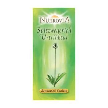 Ribwort plantain mother tincture 20 ml - UKDorf 