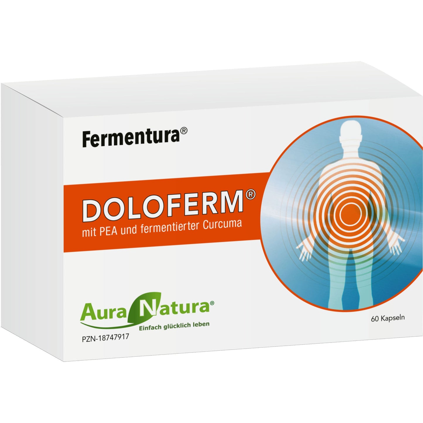 Rosehip Extract, Fermented Curcuma Fermentura Doloferm Capsules 60 pcs