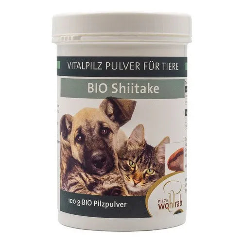 SHIITAKE ORGANIC medicinal mushroom powder for animals - UKDorf 